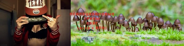 марки lsd Зеленодольск