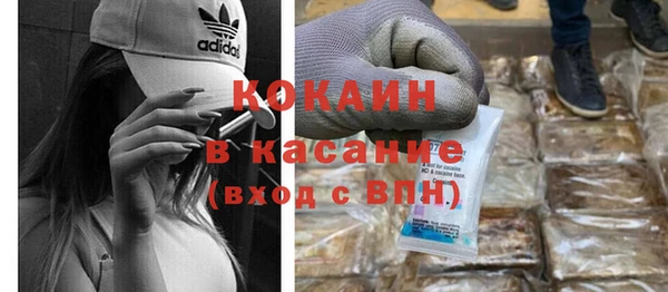 шишки Ельня