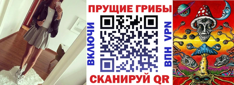 Купить где Аша Галлюциногенные грибы Psilocybine cubensis